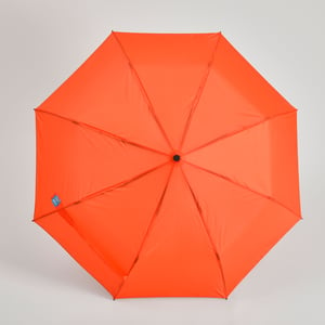 Open Top View Umbrella